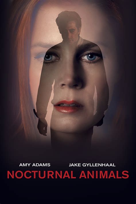 nocturnal animals 123 movies.